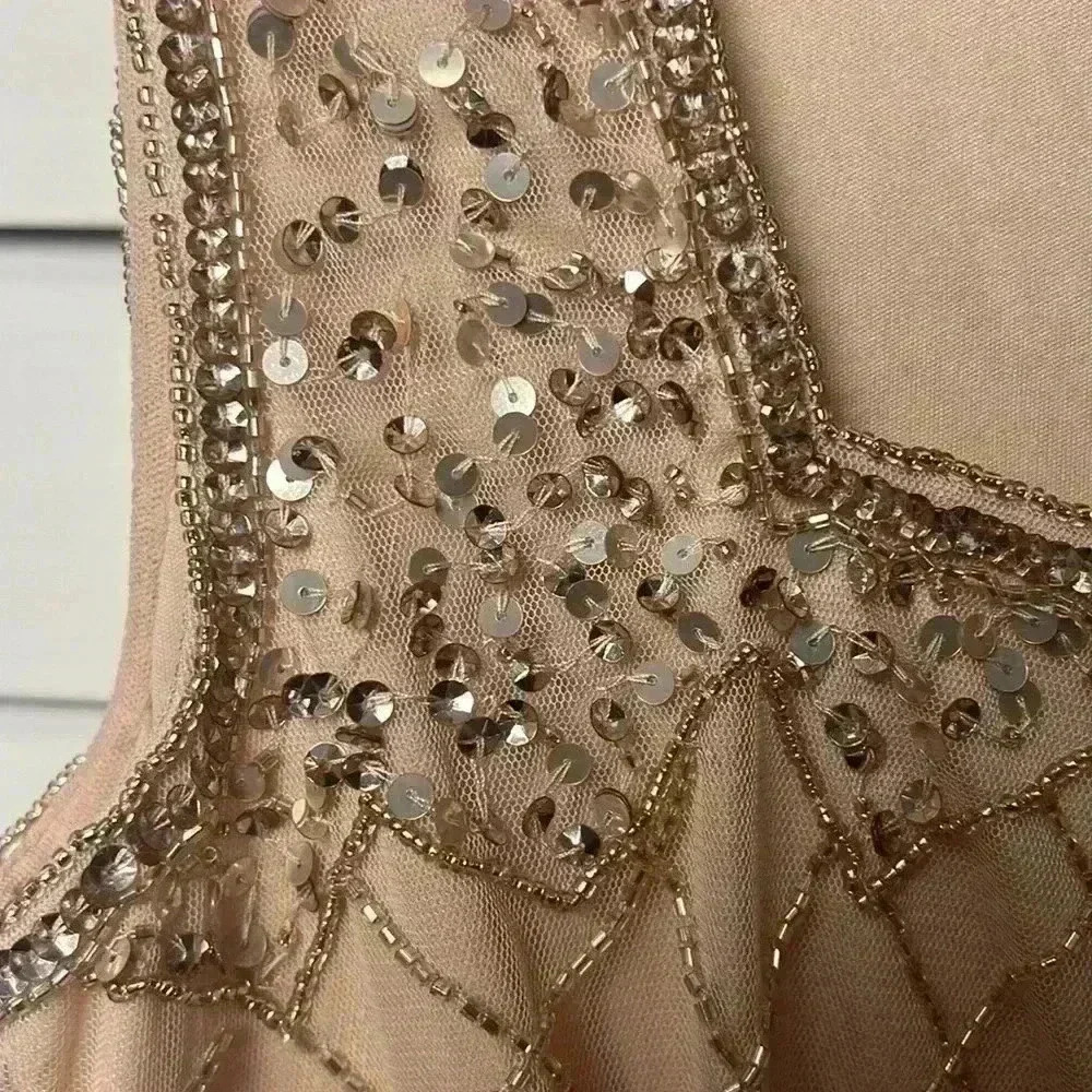Adrianna Papell Blush Lace Dress - Picture 11 of 16